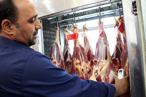 ورود بیش از 2 میلیون کیلوگرم گوشت دام به بازار مصرف زنجان