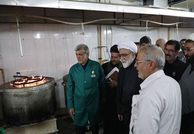 بازدید تولیت آستان قدس رضوی از ایستگاه 
های خدمت رسانی به زایران پیاده امام رضا(ع)