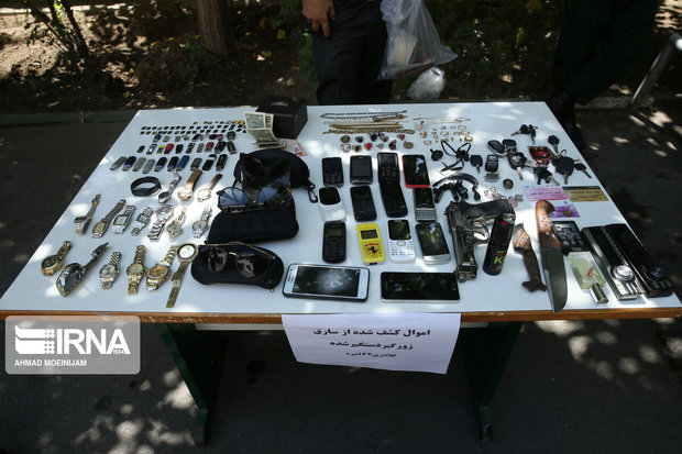 کشفیات سرقت در شرق استان تهران ۳۰درصد افزایش یافت