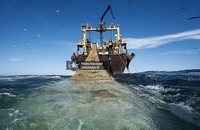 توقیف شناور غیر مجاز صید ترال در بندر جاسک (2)