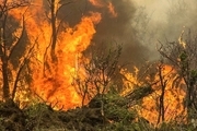 خسارت 13 میلیاردی آتش‌سوزی به اراضی ملی و جنگلی خراسان‌شمالی