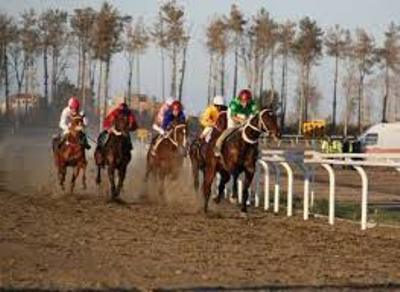 رقابت 52 راس اسب در هفته دهم مسابقات اسبدوانی کورس پاییزه گنبدکاووس