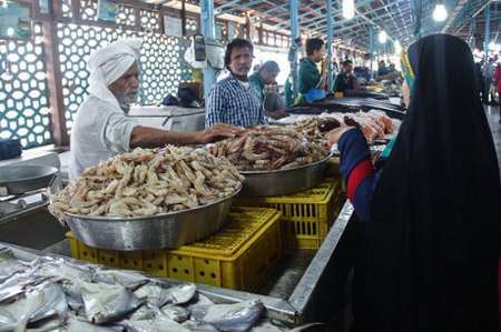 تعداد بازارهای عرضه ماهی درشهربندرعباس افزایش می یابد