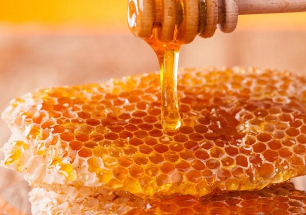 تلخی کام زنبورداران فاروجی به علت عرضه فله ای عسل