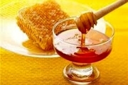ضرورت ارائه تسهیلات به زنبورداران و تولیدکنندگان عسل