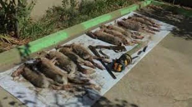 7 شکارچی غیرمجاز در منطقه حفاظت شده سهند بازداشت شدند