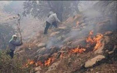آتش سوزی در بخش کوهستانی و صعب العبور پارک ملی گلستان