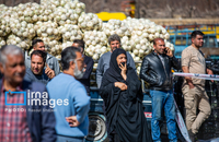 تصاویری از سقوط بالگرد ارتش در «درچه» اصفهان (26)