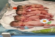 نوزادان پنج قلو در گچساران سالم متولد شدند