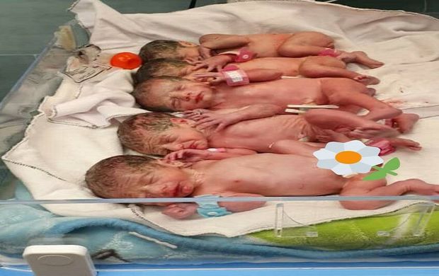 نوزادان پنج قلو در گچساران سالم متولد شدند