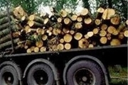 9 تن چوب قاچاق در سلسله کشف شد