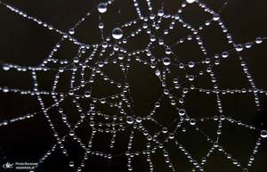 منتخب تصاویر امروز جهان- 23 مهر