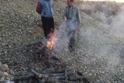 دستگیری متخلف قطع درختان جنگلی در منطقه جنگلی «هلن» شهرستان کیار