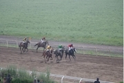 68 اسب در هفته دوم مسابقات اسبدوانی گنبد رقابت کردند