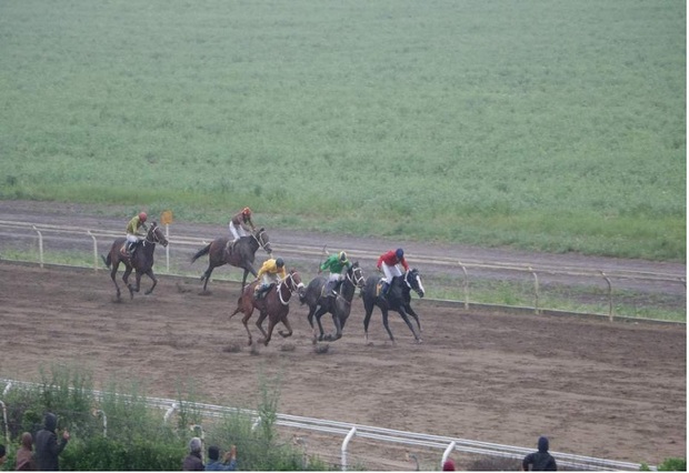 68 اسب در هفته دوم مسابقات اسبدوانی گنبد رقابت کردند