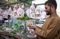 خرید نوروزی در کابل پایتخت افغانستان (10)