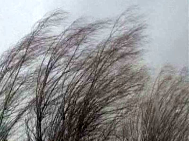 بادهای شدید شمالی در قزوین وزیدن می گیرند