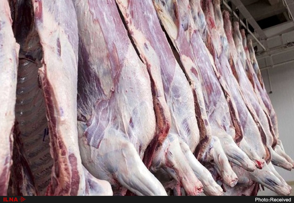 تولید سالانه بیش از 2 هزار تن گوشت در شهرستان کوثر