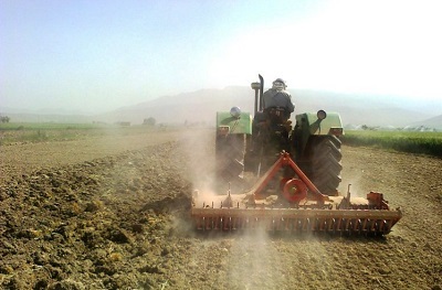 توزیع 375 تن بذر گندم در بین کشاورزان بخش کاکی بوشهر