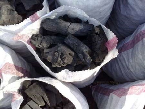 کشف و ضبط 21 کیسه زغال غیرمجاز بلوط در شهرستان سلسله