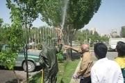سم پاشی فضای سبز در زنجان تا پایان خرداد جریان دارد