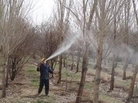 آغاز عملیات رایگان کنترل آفات عمومی در مزارع، باغات و مراتع کردستان