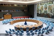 شورای امنیت قطعنامه نحوه تعامل با دولت موقت افغانستان را تصویب کرد