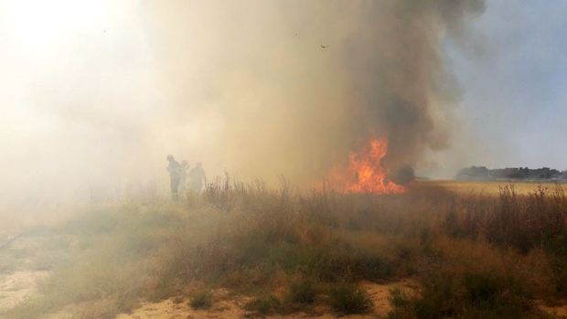 آتش سوزی مزارع غلات در ورامین مهار شد