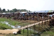 دبیر کل سازمان ملل از اردوگاه های پناهندگان مسلمانان میانمار بازدید می کند
