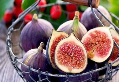 انجیر خشک بهتر است یا انجیر تازه؟