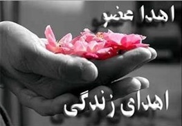 کسب عنوان برتر کشوری توسط واحد فراهم آوری اعضای پیوندی چهارمحال و بختیاری