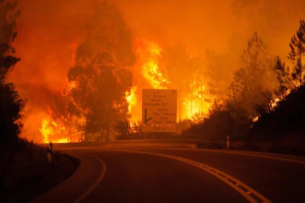 عکس/ آتش به جان جنگل ها و مردم پرتغال افتاد