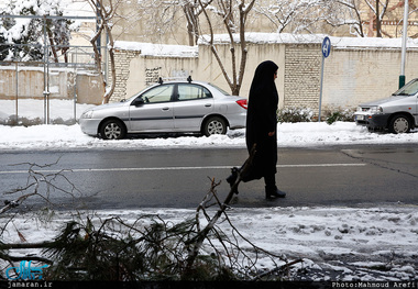 چرا برف کمر درختان شهر را شکست؟