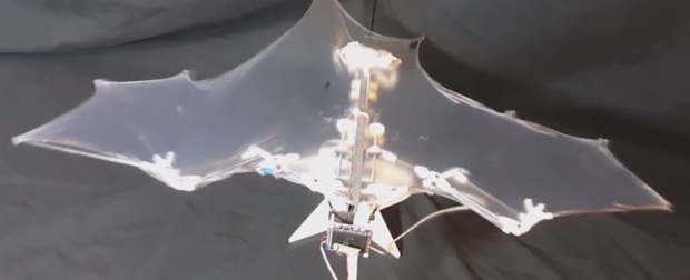ربات "بت باد" و الهام از بالهای انعطاف پذیر خفاش