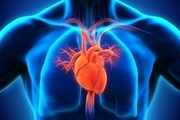 بررسی امکان اهدای عضو از بیمار فوت شده بر اثر عارضه قلبی