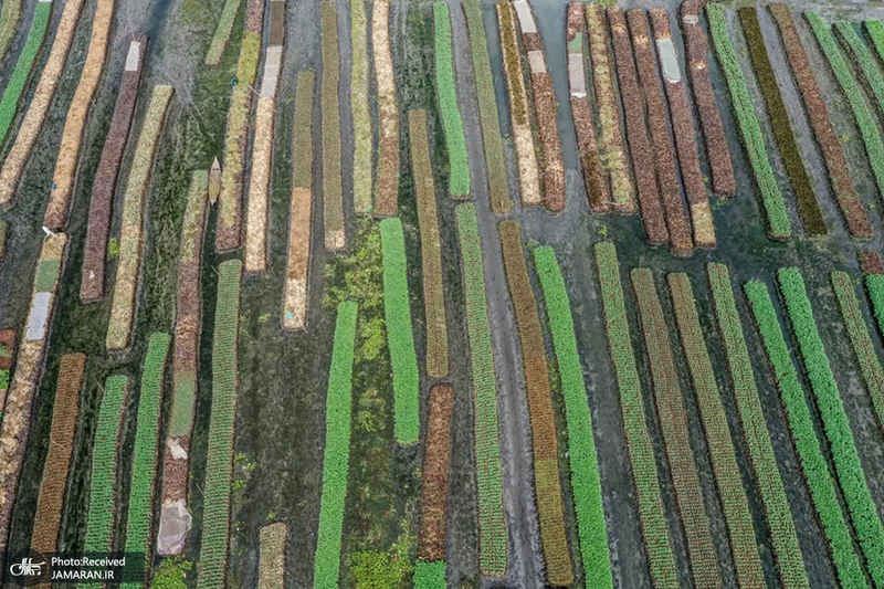 منتخب تصاویر امروز جهان - 12 مرداد 1401