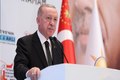 اردوغان: سیاست‌های توسعه‌طلبانه اسرائیل تهدید اصلی امنیت منطقه است