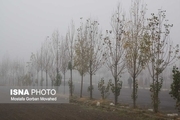 طبیعت دل انگیز و مه آلود واپسین روزهای پاییزی در اهر