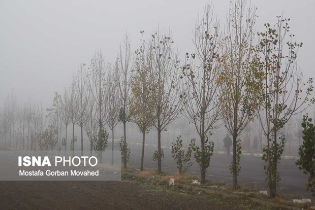 طبیعت دل انگیز و مه آلود واپسین روزهای پاییزی در اهر