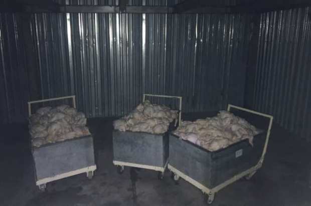 1100 کیلوگرم گوشت مرغ غیر قابل مصرف در بانه کشف و ضبط شد