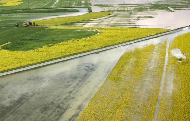 22 میلیارد ریال به کشاورزان زیان دیده ازسیل گلستان پرداخت شد