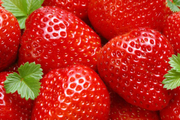 خوردن توت فرنگی استرس ناشی از  پیری را کم می کند