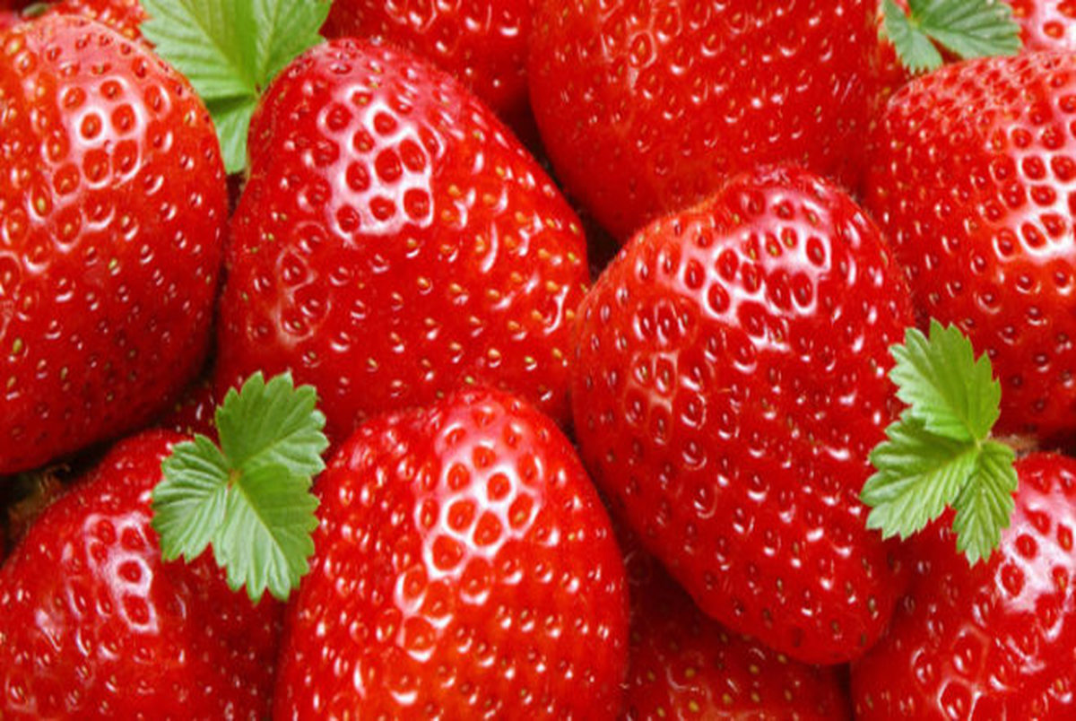 خوردن توت فرنگی استرس ناشی از  پیری را کم می کند