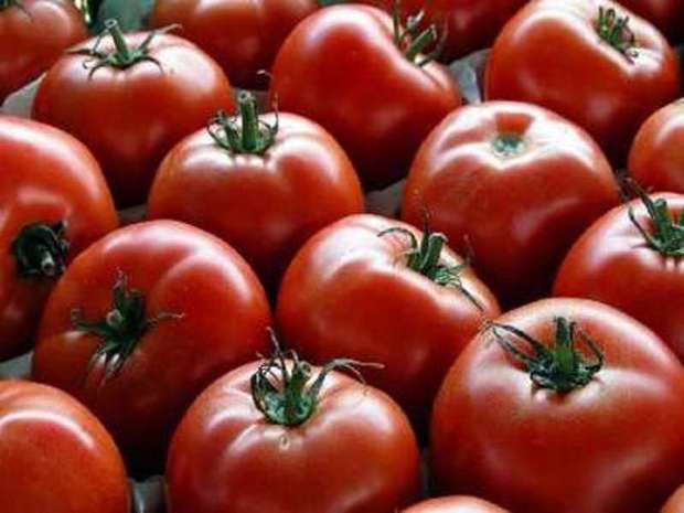 14 کامیون حامل گوجه فرنگی از مرز شلمچه عودت داده شد