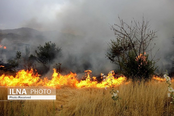 آتش‌سوزی در 100 هکتار از مراتع بخش گندمان