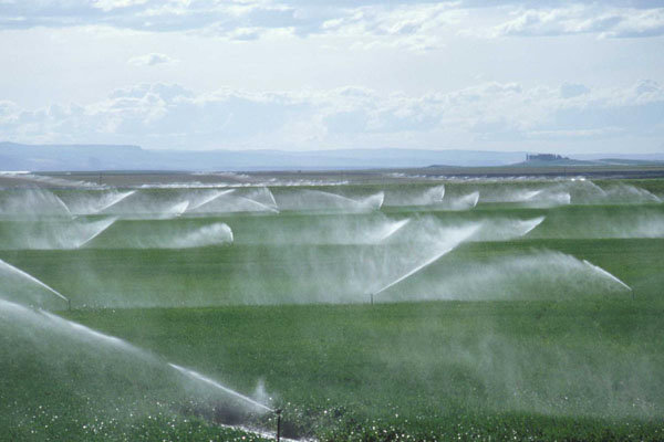 طرح بهینه سازی مصرف آب کشاورزی در 4 شهر خراسان شمالی در دست اجراست