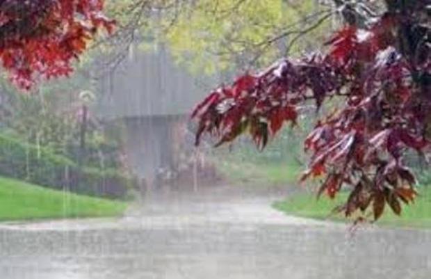 بارش های گنبدکاووس هفت درصد کاهش یافت