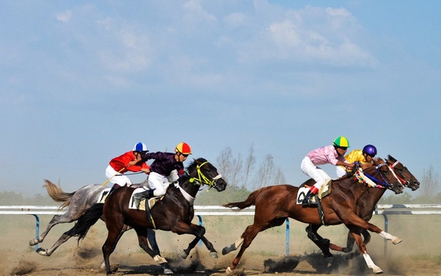 66 سوارکار در مسابقات اسب دوانی خراسان شمالی رقابت می کنند
