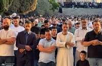 نماز عید قربان در مسجدالاقصی (4)