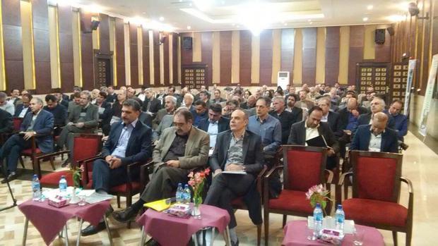 معاون وزارت جهاد کشاورزی: مجوز جابه جایی 39 میلیون اصله نهال صادر شد